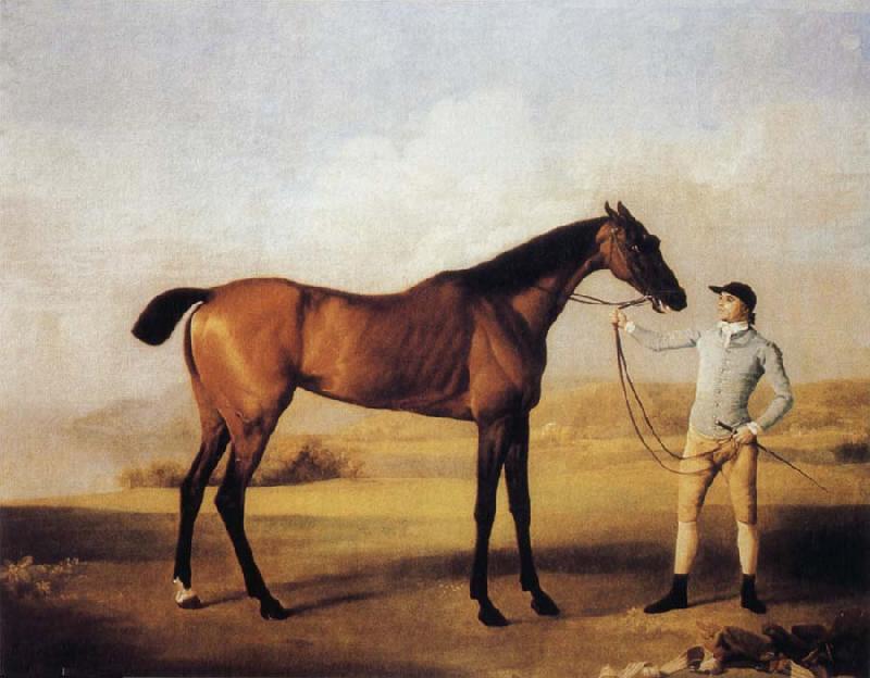 George Stubbs Molly Longlegs with Jockey oil painting image